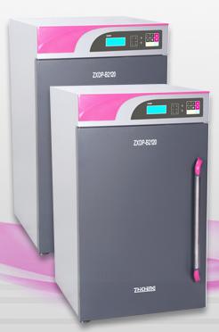 电热恒温箱 ZXDP-B2080
